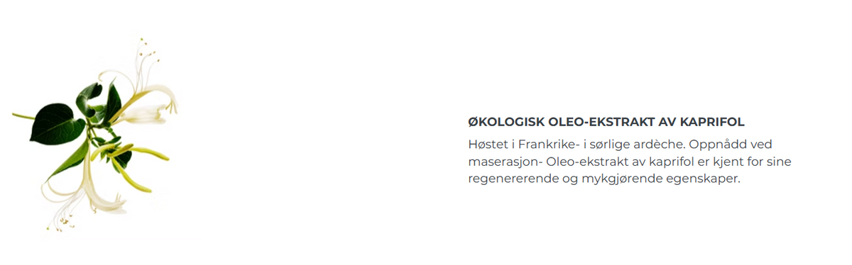 Oleo-ekstrakt