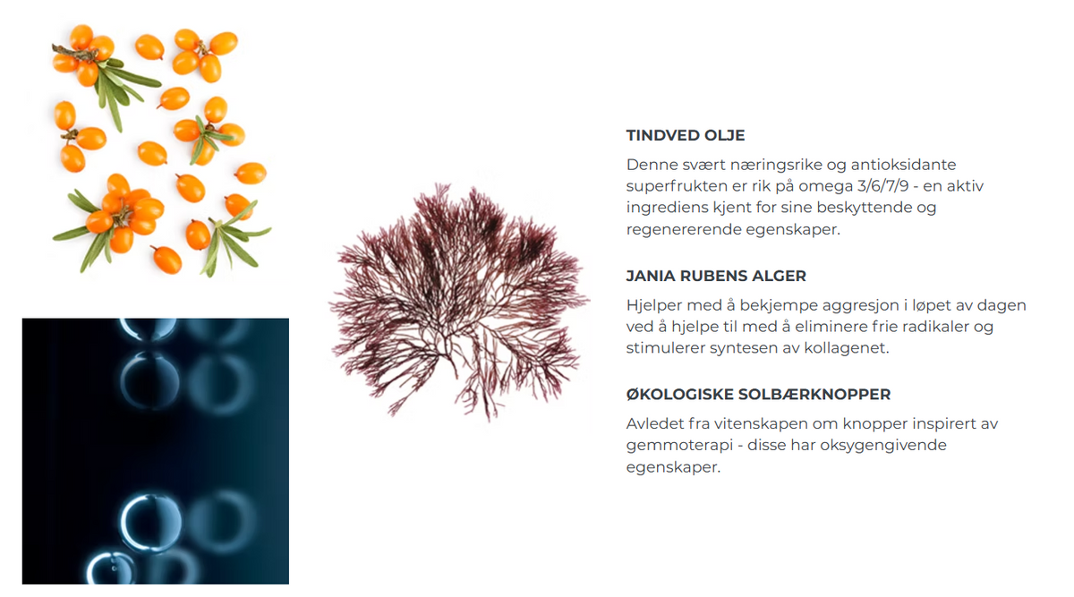 Tindved olje, Jania rubens alger og økologiske solbærknopper