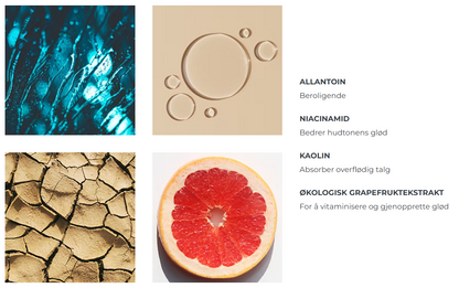 Allantion, niacinamid, kaolin, grapfruktekstrakt