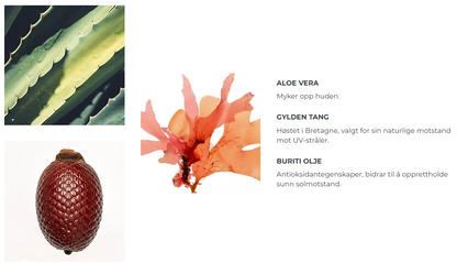 Aloe Vera, Gylden tang og Buriti olje