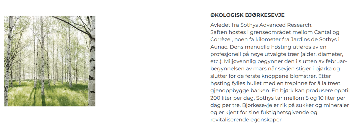 Bjørkesevje