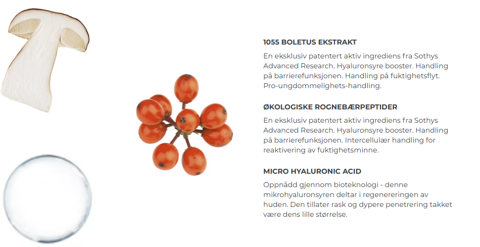Boletus ekstrakt, rognebærpeptider, hyaluronsyre