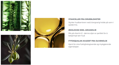 Drueblomster, arganolje, olivenolje