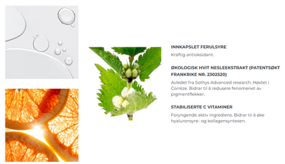 Ferulsyre, hvit nesleekstrakt og vitamin c