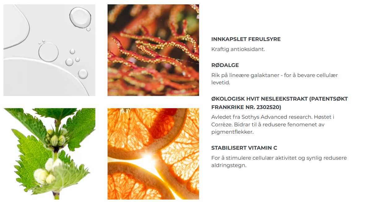 Ferulsyre, rødalge, hvit nesleekstrakt, vitamin c