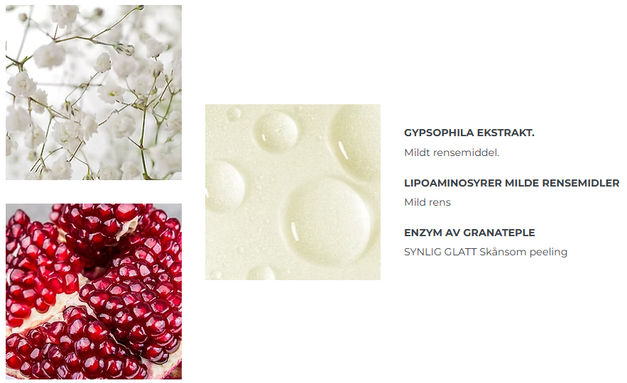 Gypsophila ekstrakt, Lipoaminosyrer milde rensemidler og granatepleenzym