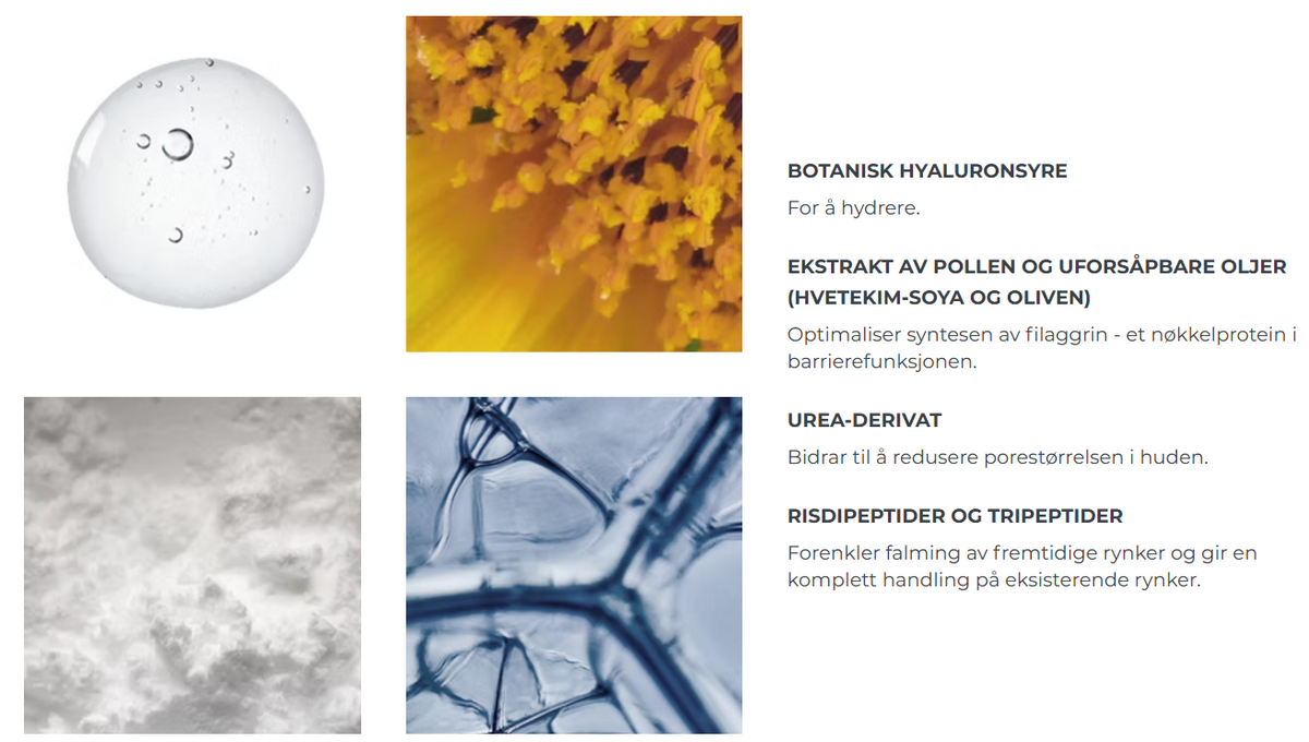 Hyaluronsyre, Pollenekstrakt, oljer. Urea-derivat, risdipeptider og tripeptider