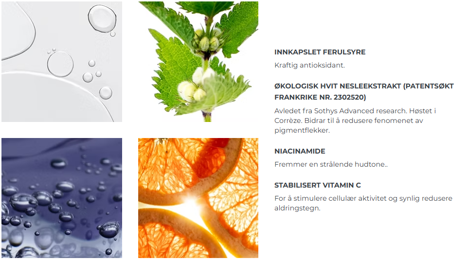 Innkapslet ferulsyre, økologisk hvit nesleekstrakt, niacinamide og vitamin C